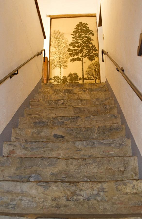 Agriturismo Santa Caterina Castelnuovo di Val di Cecina Zimmer foto